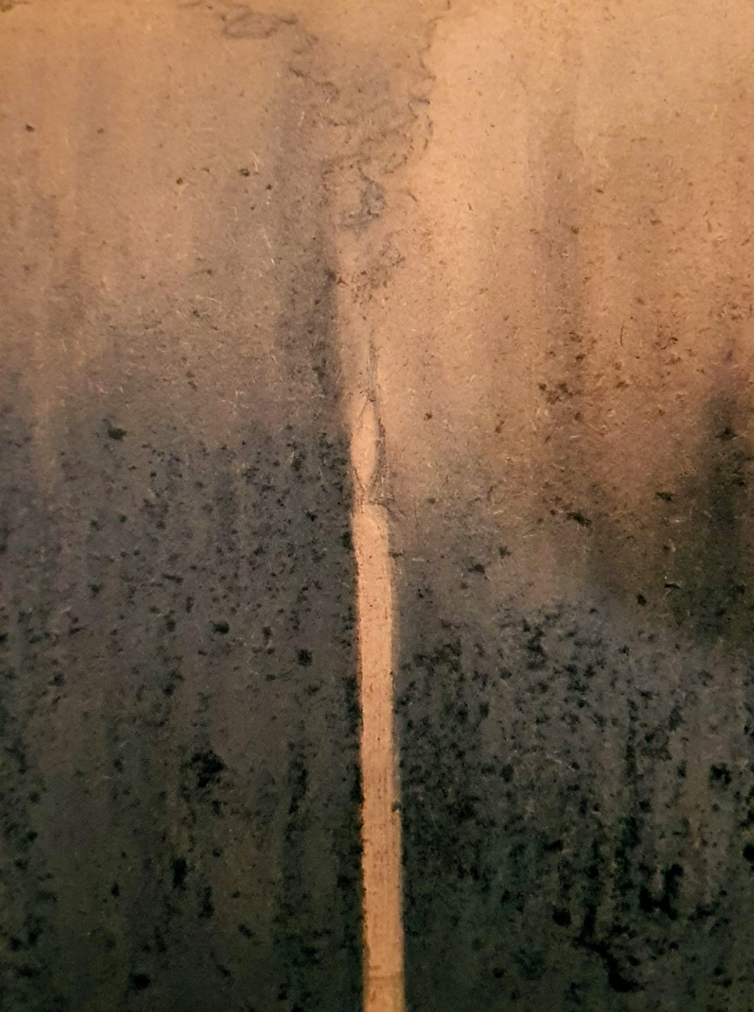 'HOPE' - 2025 - Ash on board